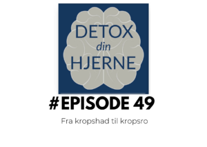 detox din hjerne